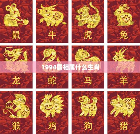 1961年 生肖|1961年属什么生肖？探寻1961年生肖的奥秘